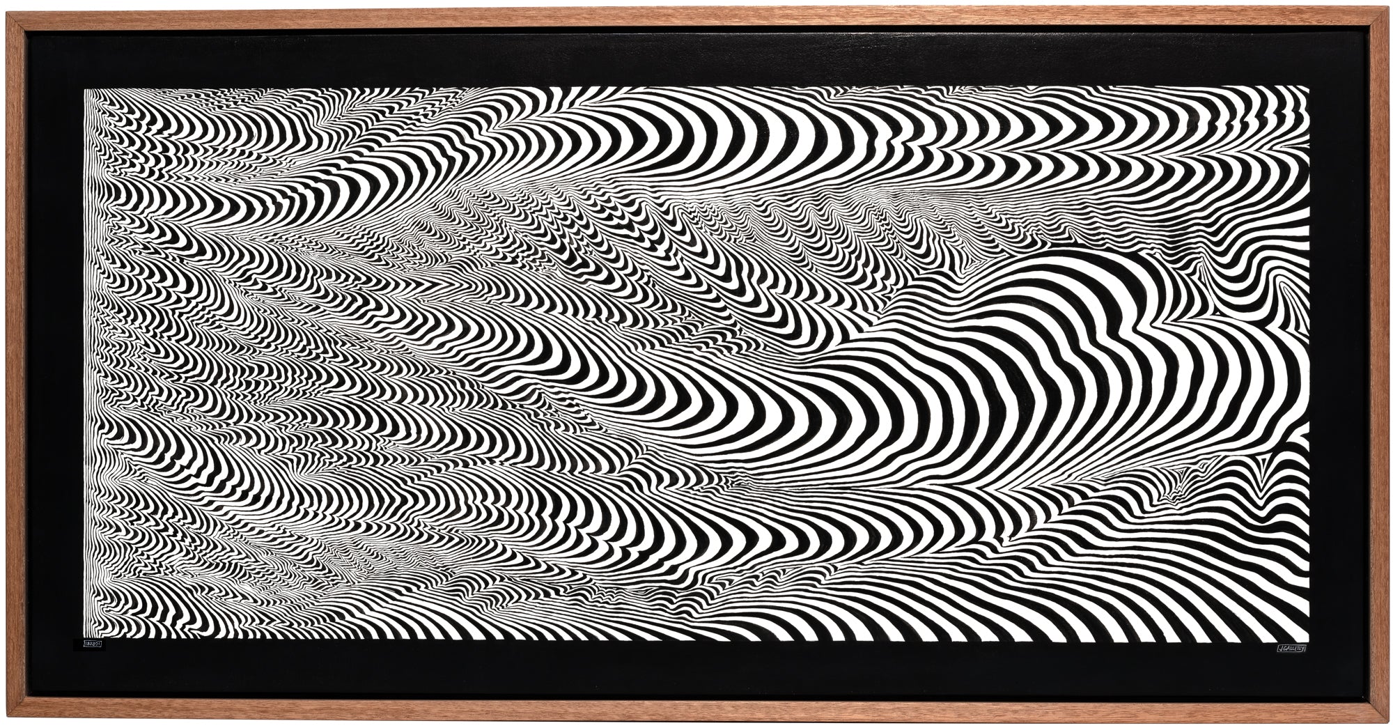 Josh Galletly Art, contemporary black and white line paintings, optical illuson psychedelic energy fields