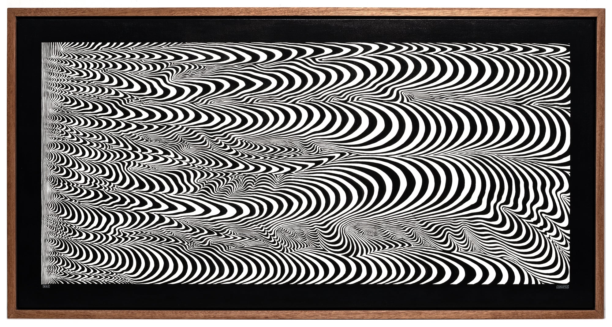 Josh Galletly Art, contemporary black and white line paintings, optical illuson psychedelic energy fields